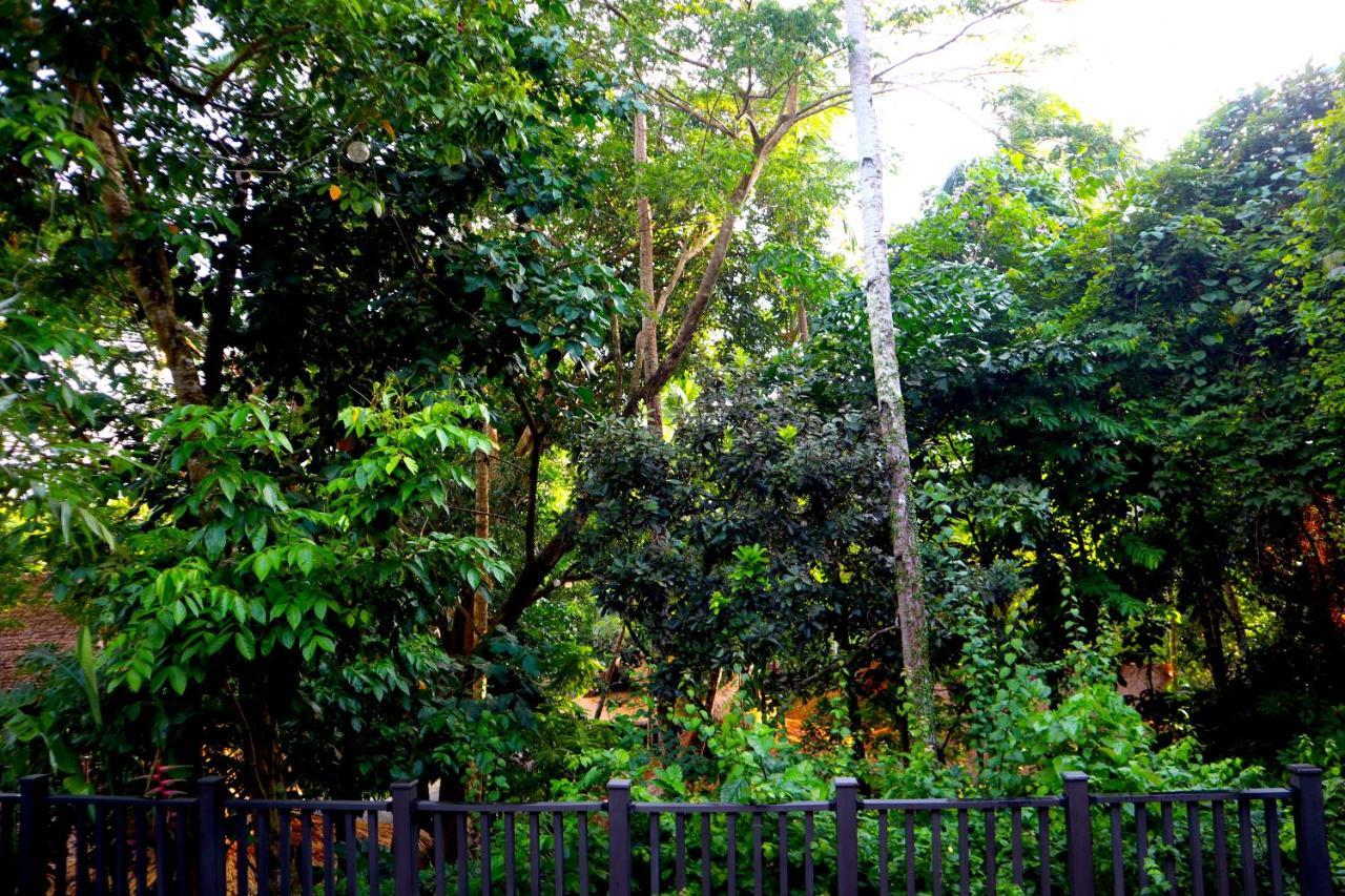 Lihim Resorts El Nido Ngoại thất bức ảnh